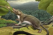 Weekly Science Picks