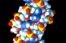 Weekly Science Picks
