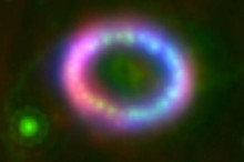 A Supernova Post-Mortem in Radio Waves