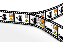 Schrödinger’s cat: the quantum world not so absurd after all?