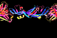 The Hallmarks of Cancer: Growth Factors and Cell Signaling