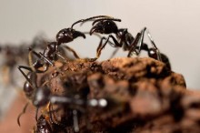 Weekly Science Picks