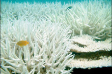 Ocean Chemistry Unbalanced