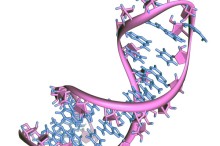 Will the Humans be Able to Cure Cancer Soon?