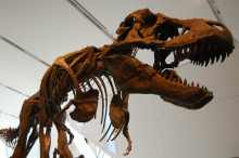 Weekly Science Picks