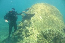 Pilbara marine health check – good and bad news