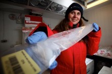 Ocean winds keep Australia dry, Antarctica cold
