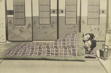 The Science of Dreams and Why We Have Nightmares