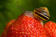 Weekly Science Picks