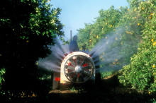 CSIRO releases Spanish version of free pesticide risk tool