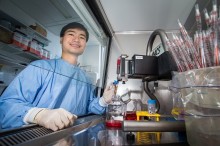 Weakness in malaria parasite fats could see new treatments