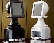 Australian museums must innovate or risk becoming ‘digital dinosaurs’