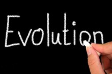 New Animated Web Series Makes the Theory of Evolution Easy to Understand