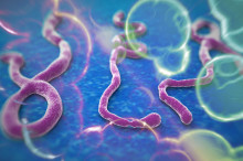 WHO updates personal protective equipment guidelines for Ebola response