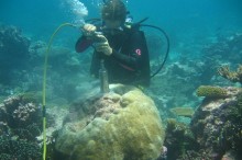 Ocean primed for more El Niño