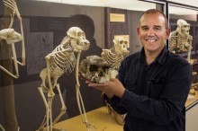 Ancient engravings rewrite human history