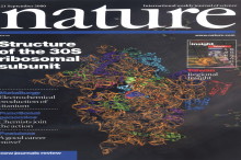 Science Journal Nature Will Make Its Archives Free to View Online (Kind of), Dating Back to 1869