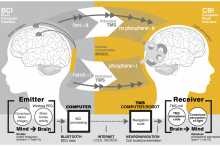 The world’s first brain to brain communication established